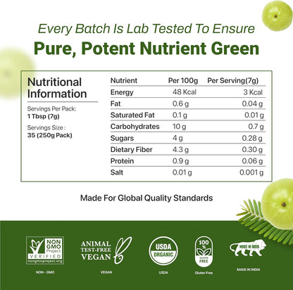 Amla Powder (Amalaki) 8.8 oz – USDA Organic Indian Gooseberry Powder, Laboratory Tested, Rich in Vitamin C & Antioxidants, Traditionally Used for Immune, Digestive & Skin Health, Non-GM, Vegan