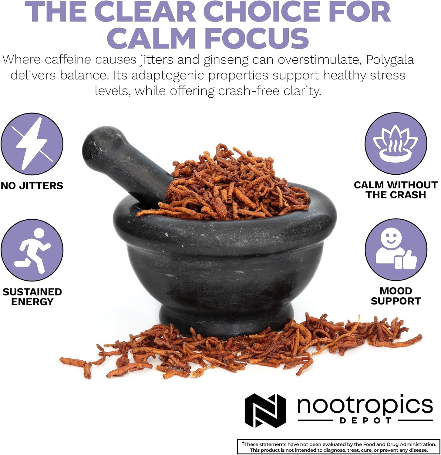 Nootropics Depot Polygala Tenuifolia Capsules | 100mg | 90 Capsules | 20:1 Extract | Yuan Zhi | Supports Cognitive Function, Learning and Memory | Helps Maintain Healthy Stress Levels | Adaptogen Supplement - görsel 5