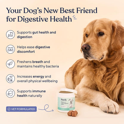 Pawfy Probiotics for Dogs - Chicken Flavour - 30 Chews