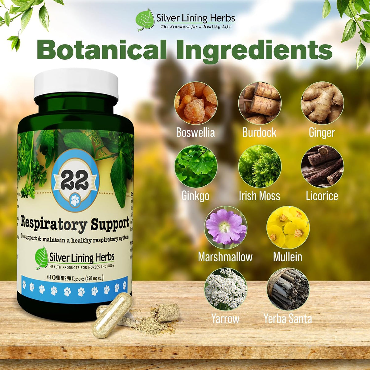 Silver Lining Herbs Dog Respiratory Support Capsules – Herbal Blend for Clear Breathing and Lung Health (90 Capsules) - görsel 3