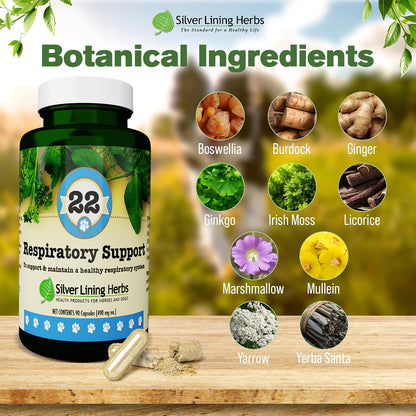 Silver Lining Herbs Dog Respiratory Support Capsules – Herbal Blend for Clear Breathing and Lung Health (90 Capsules)
