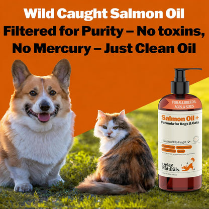 Deley Naturals Wild Alaskan Salmon Oil for – Sourcing: Wild-caught fish from clean waters, such as Alaskan salmon, – Image 6