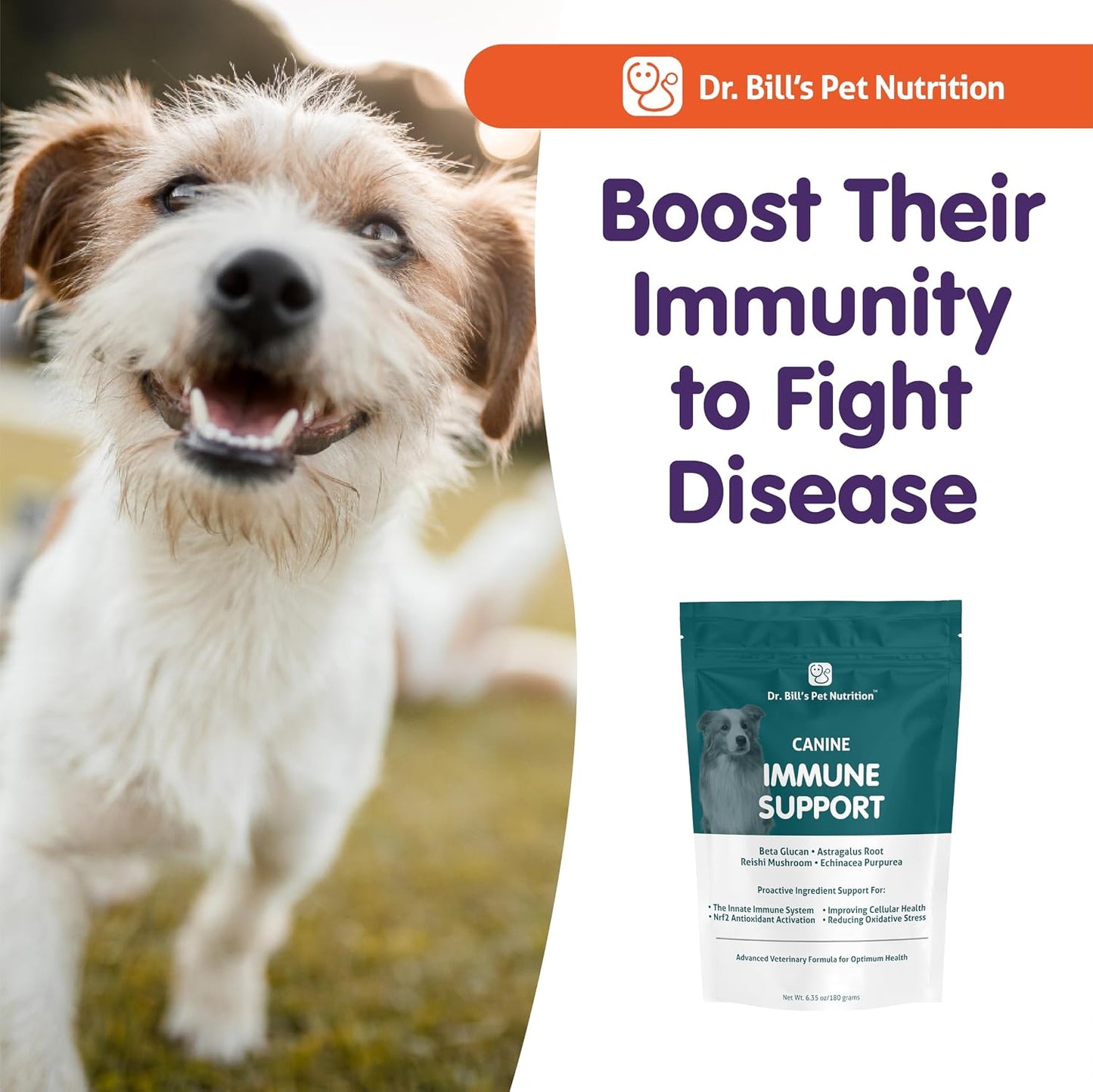 Dr. Bill's Canine Immune Support – Powder Supplement for Dogs of All Ages - görsel 8