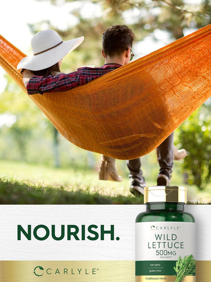Carlyle Wild Lettuce Extract | 200 Capsules | Herbal Leaf Supplement | Non-GMO & Gluten-free
