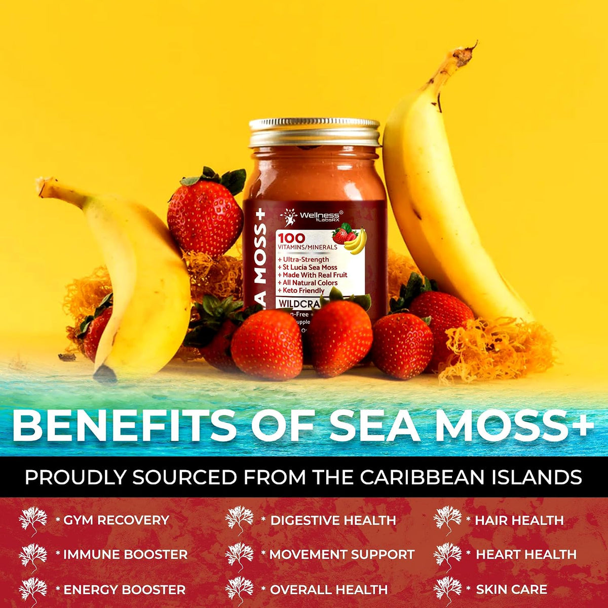 Irish Sea Moss Gel Raw – Wildcrafted Superfood – Strawberry Banana Flavour, 283g (10 oz) - görsel 6