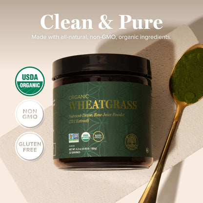Global Healing Organic Wheatgrass Powder - Nutrient-Dense Raw Wheatgrass Juice Powder (33:1 Extract) - 180g