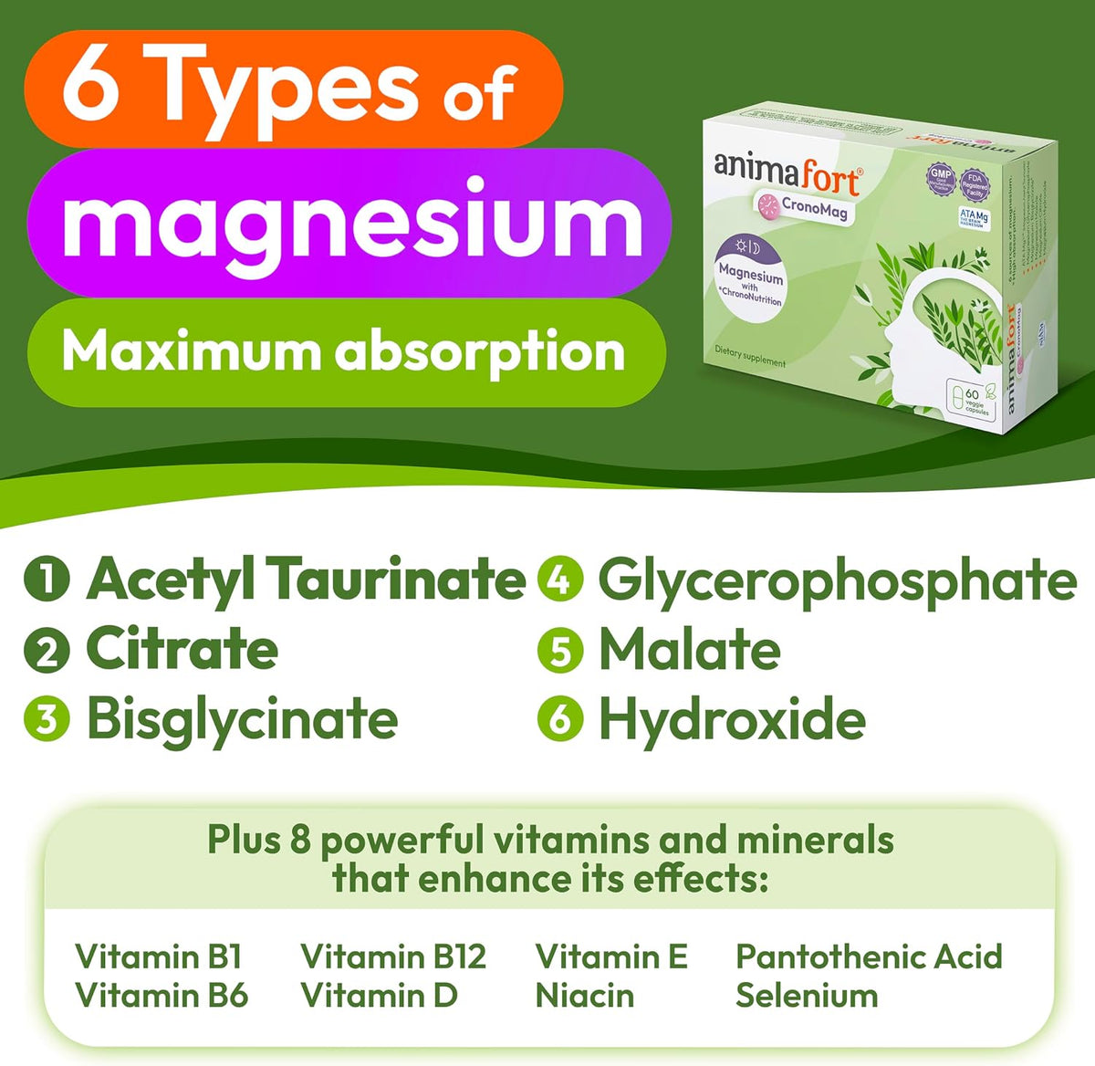 Animafort CronoMag - Magnesium Complex with 6 High-Absorption Salts, Vitamins B12 & D, 60 Capsules - görsel 2