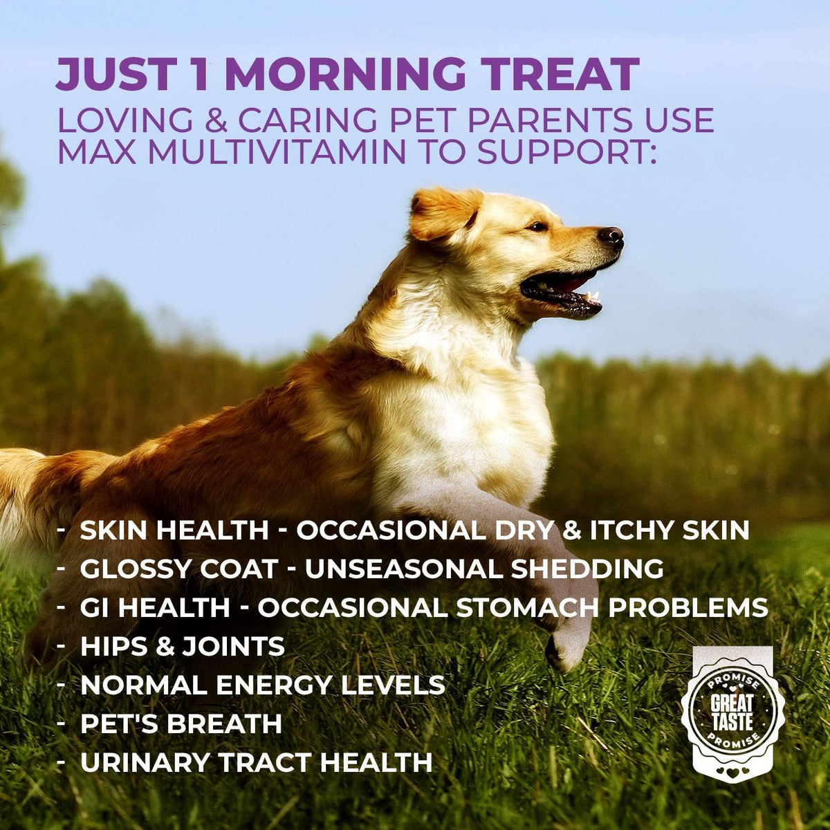 MAX Dog Multivitamin - Senior & Adult Dog Vitamins 10 in 1 Complete Support - görsel 5