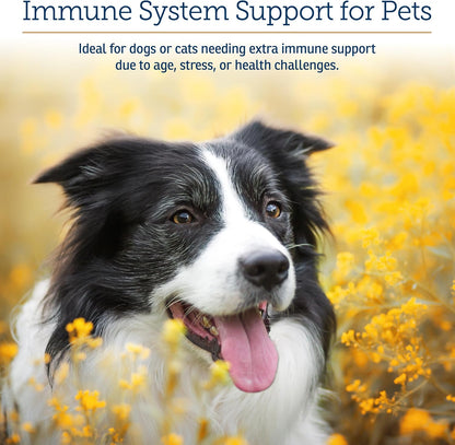 Rx Vitamins GlucaMune – Immune Support Supplement with Beta Glucan for Dogs and Cats (90 Capsules)
