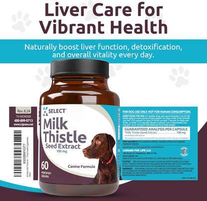 Milk Thistle for Dogs, 100mg – 60 Vegetable Capsules – Canine Liver Health Supplement