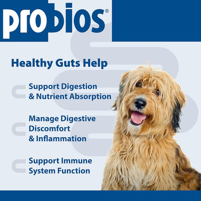 Probios Chewable Probiotic Tablets for Dogs - Chicken Liver Flavour, 45 Count