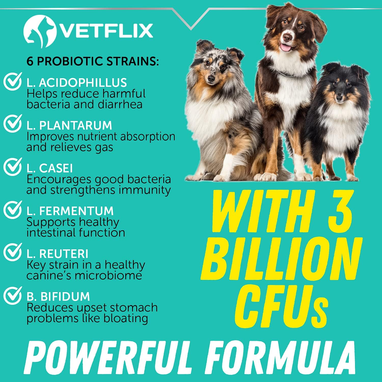 Premium Probiotics Liquid for Dogs, Cats, Puppies and Kittens, 2 Fl Oz - görsel 5