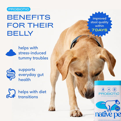 Native Pet Probiotics for Dogs – Vet-Formulated Probiotic Powder for Gut & Digestive Health (6 Billion CFUs, 120 Scoops)