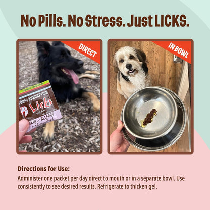 Licks Skin & Allergy Support - Allergy Gel for Dogs - Omega 3 Fish Oil, Turmeric & Vitamin C - Fish Flavour - 10 Sachets