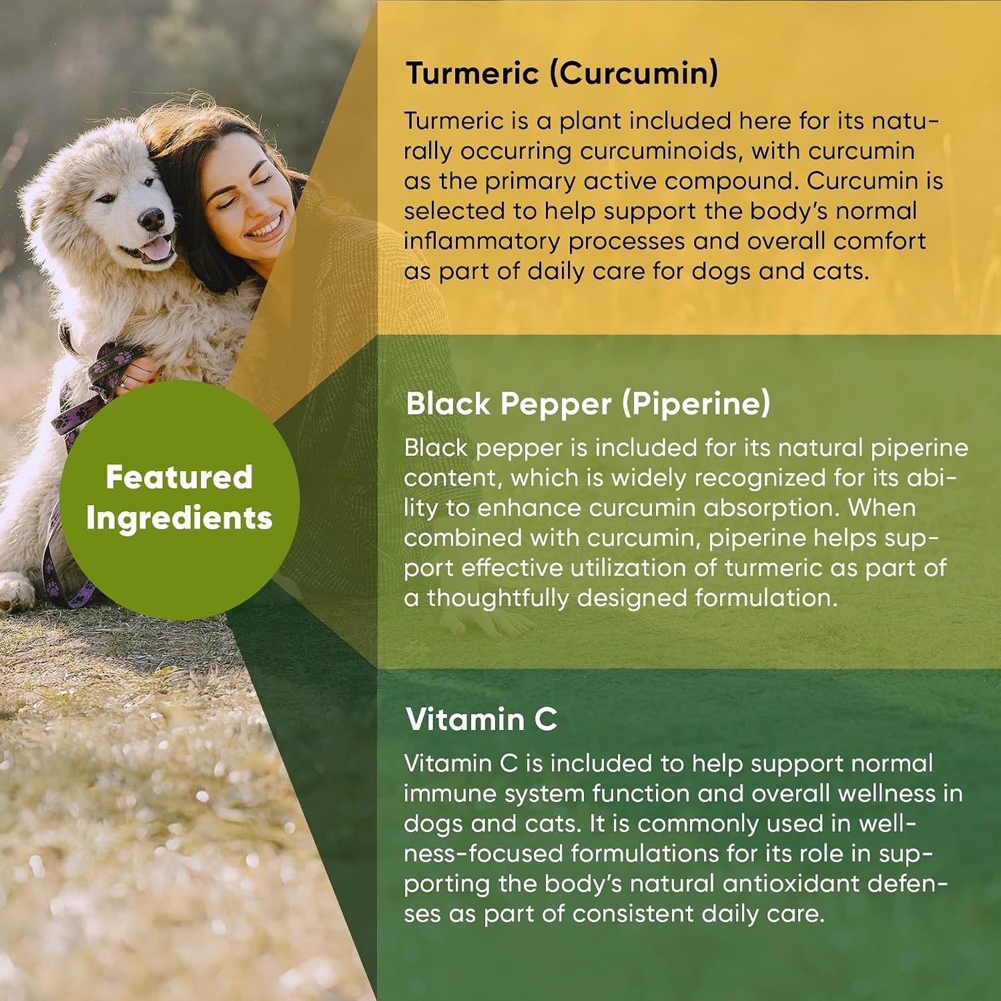 Rooted Owl Turmeric for Dogs & Cats - Curcumin Supplement with Piperine and Vitamin C, 60 Vegan Capsules - görsel 4