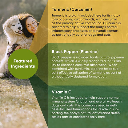 Rooted Owl Turmeric for Dogs & Cats - Curcumin Supplement with Piperine and Vitamin C, 60 Vegan Capsules
