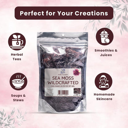 Herb To Body Purple Sea Moss – 113g (4oz), Wildcrafted from Saint Lucia, Raw & Dried