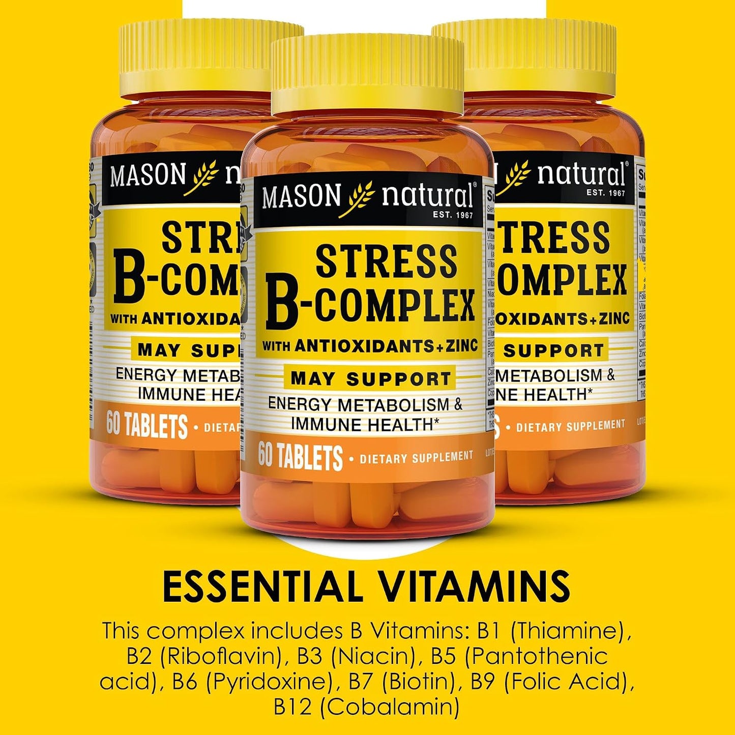 MASON NATURAL Stress B Complex with Antioxidants & Zinc - 3 Pack (6 Month Supply) - görsel 4