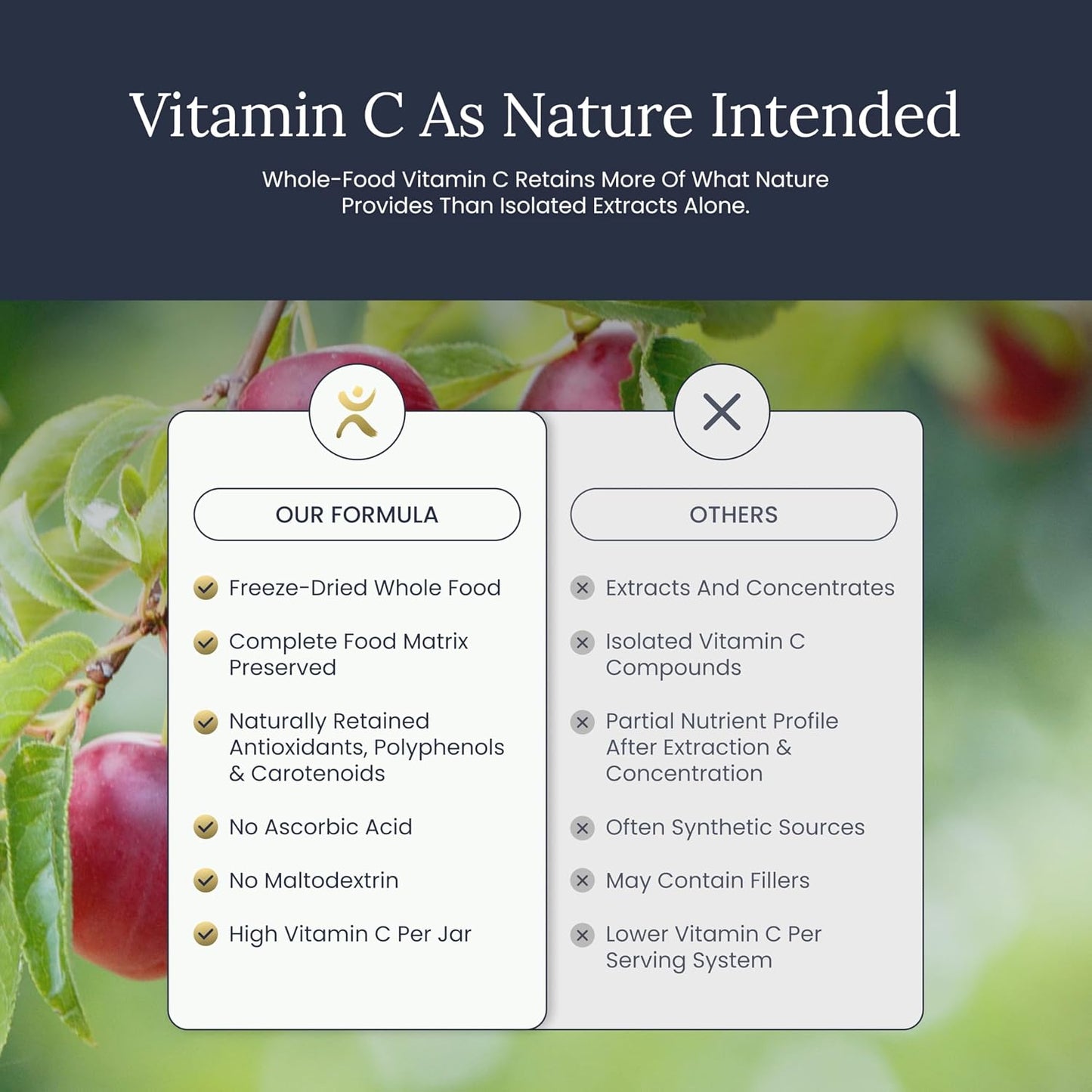 Infinity-C Organic Wholefood Sourced Vitamin C Powder | Acerola, Camu Camu & Amla | 1000mg Superfood C | High Strength | Shilajit, Astragalus Root & Ginger | Vegan, Non-GMO (30 Servings) - görsel 9