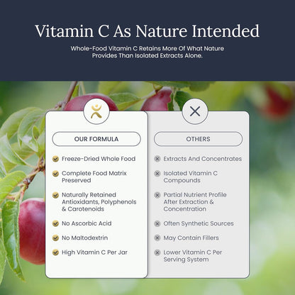 Infinity-C Organic Wholefood Sourced Vitamin C Powder | Acerola, Camu Camu & Amla | 1000mg Superfood C | High Strength | Shilajit, Astragalus Root & Ginger | Vegan, Non-GMO (30 Servings)