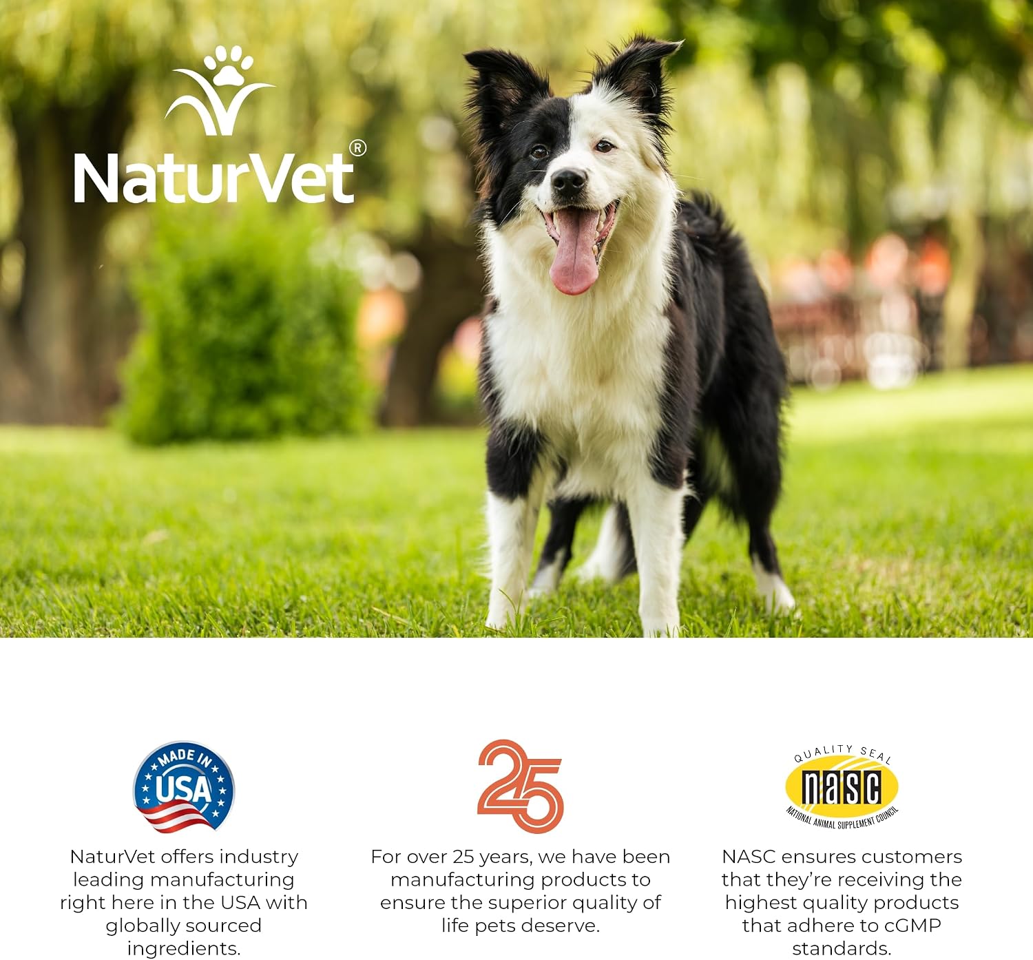 NaturVet VitaPet Adult Daily Vitamins for Dogs with Breath Aid, 60 Tablets - görsel 9