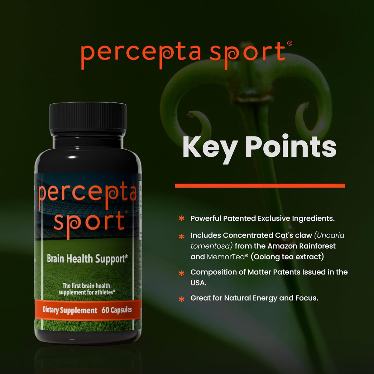 Percepta Sport Brain Supplement for Athletes - görsel 7