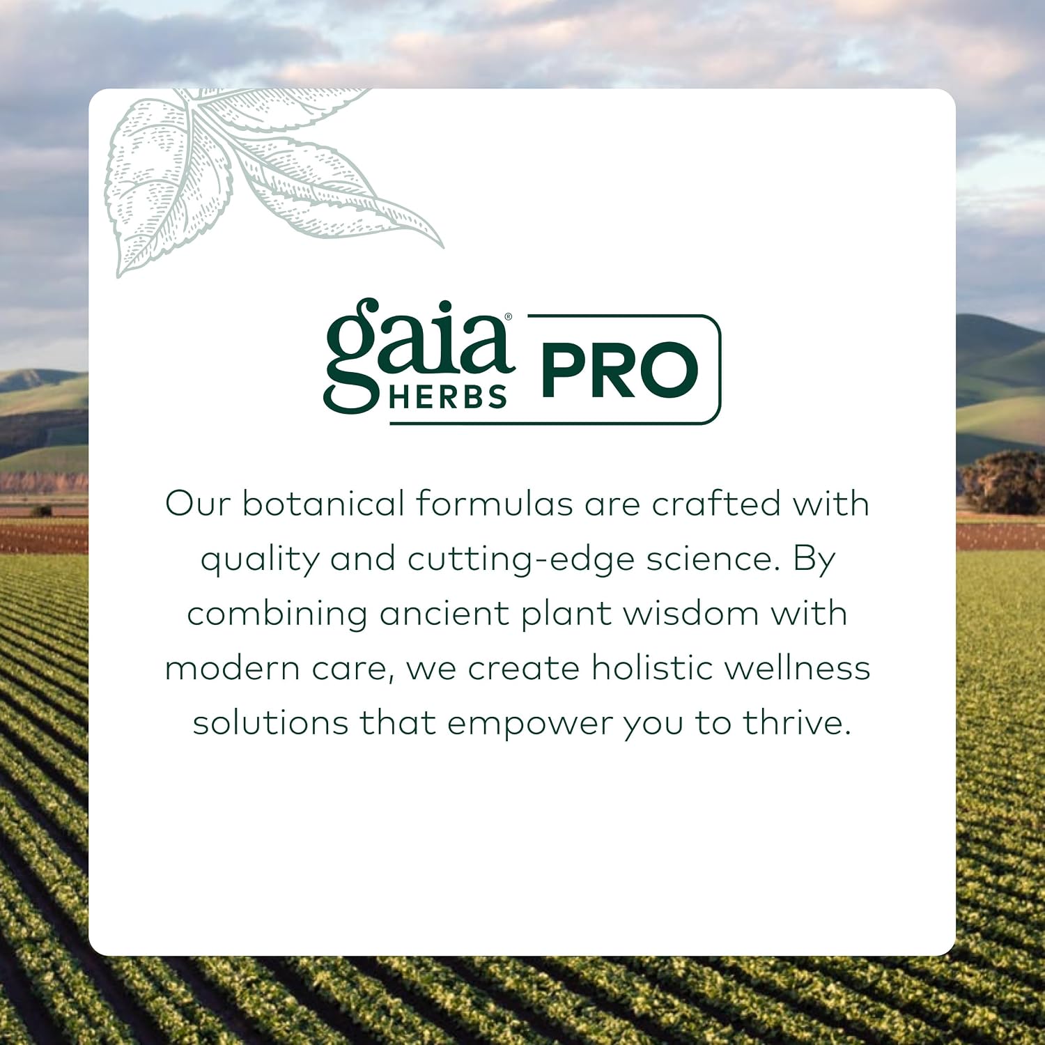 GAIA HERBS PRO Cognitive Formula - Brain Health & Blood Flow Support with Fo-Ti Root, Ginkgo Leaf, & Gotu Kola Leaf - 60 Liquid Phyto-Caps (30 Servings) - görsel 7