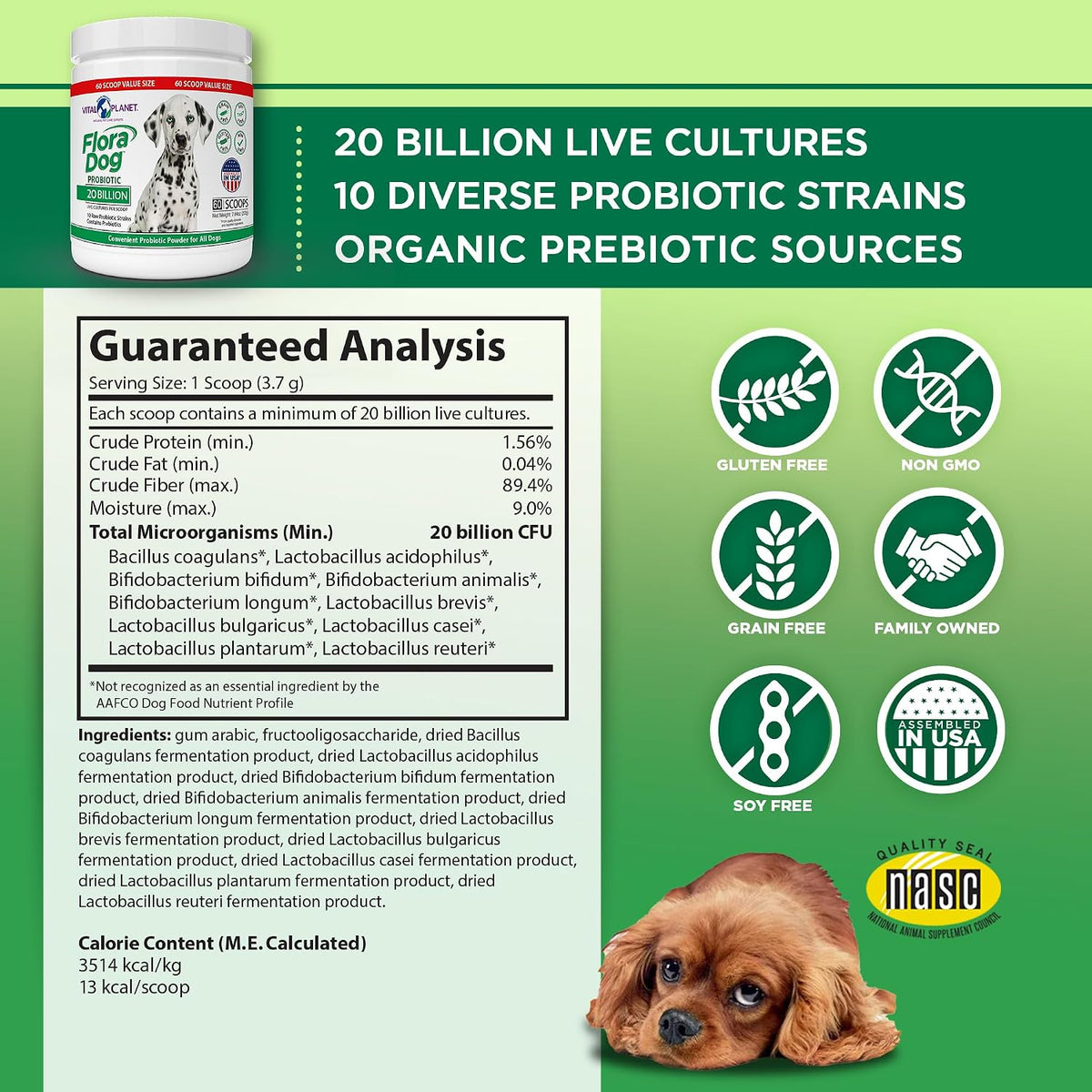 Flora Dog Probiotic Powder for Dogs - 20 Billion Cultures, 10 Strains, 222 g (60 Servings) - görsel 2