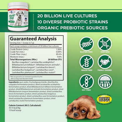 Flora Dog Probiotic Powder for Dogs - 20 Billion Cultures, 10 Strains, 222 g (60 Servings)