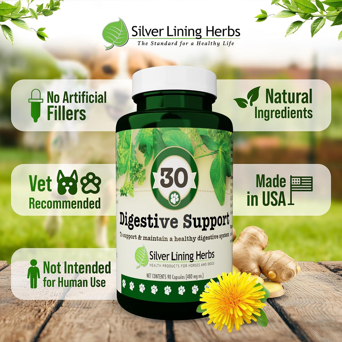 Silver Lining Herbs Dog Digestive Support – Natural Herbal Blend for Healthy Digestion & Gut Function – 90 Capsules - görsel 5