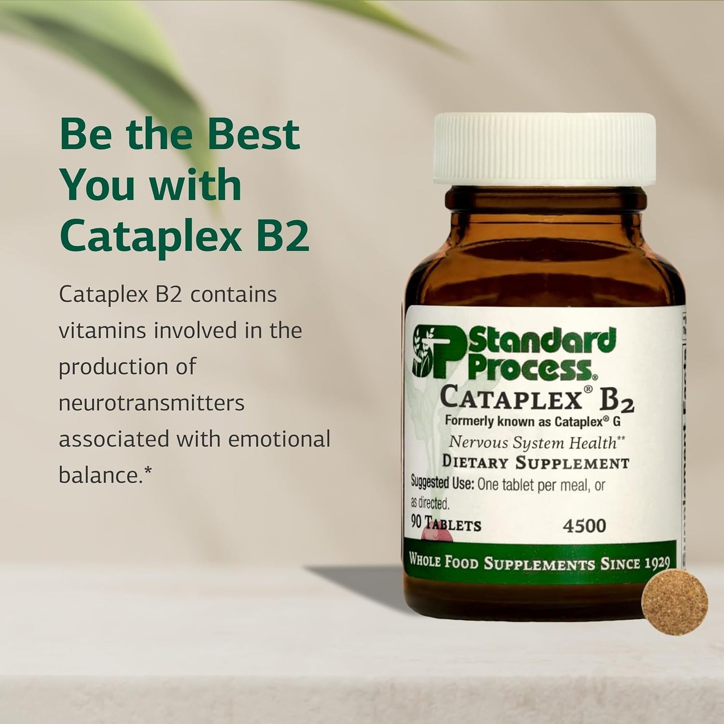 Standard Process Cataplex B2 - Nervous System & Brain Health Support - Riboflavin with B6 & Niacin - 90 Tablets - görsel 3