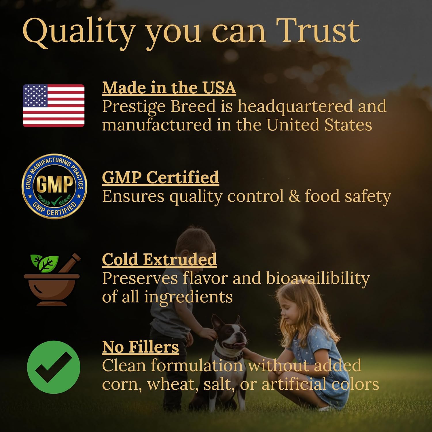 Boston Terrier Multivitamins, 90 Chews, Made in the USA with Real Bacon - görsel 5