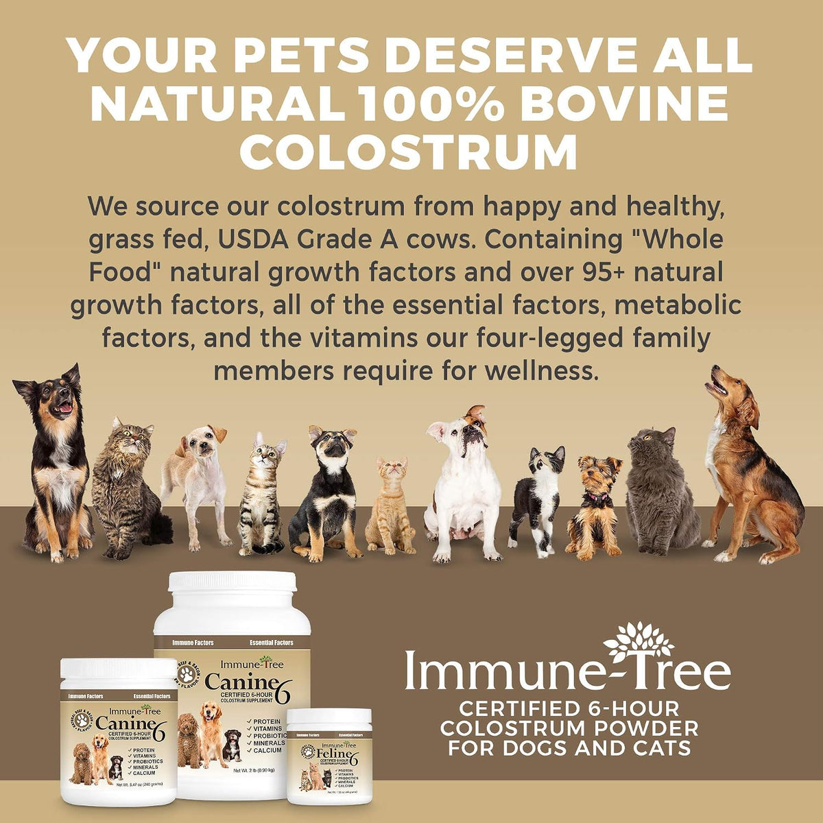 Immune-Tree Bovine Colostrum Powder for Dogs and Puppies – Immune Support, Allergy Relief, Digestive Health (240g) - görsel 8