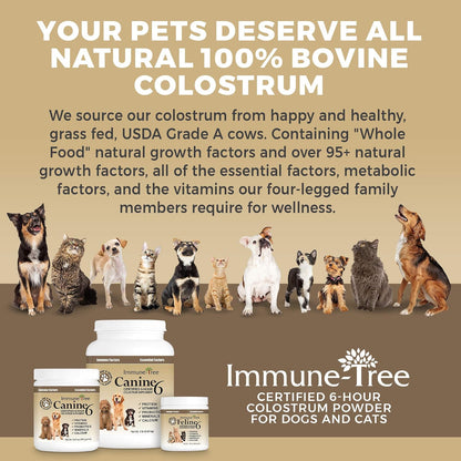 Immune-Tree Bovine Colostrum Powder for Dogs and Puppies – Immune Support, Allergy Relief, Digestive Health (240g)
