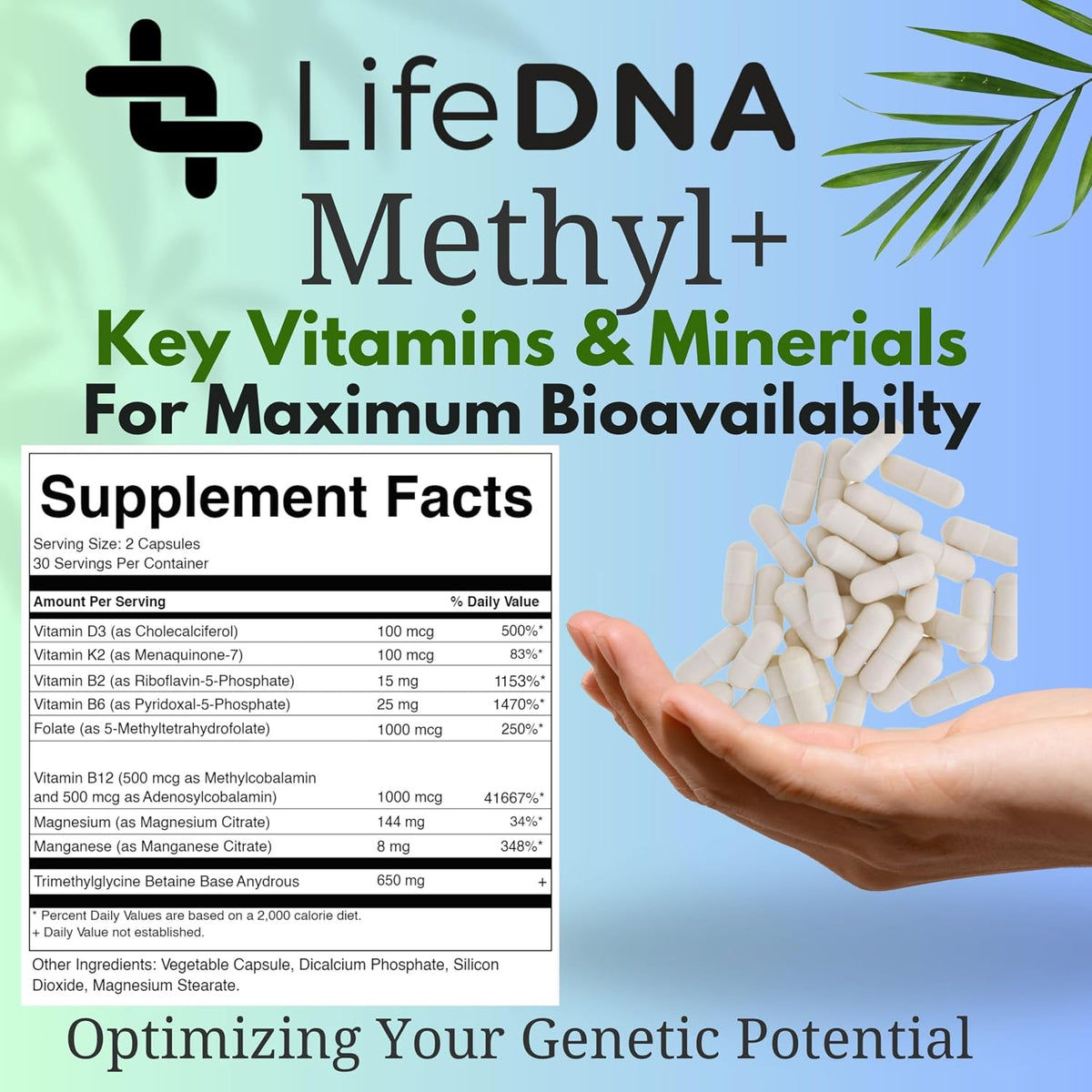 LIFEDNA Methyl + Methylfolate - Methylated Folate Vitamins Active 5-MTHF TMG Optimised Homocysteine, Brain, Cardiovascular Highly Bioavailable, MTHFR Supplement - görsel 6