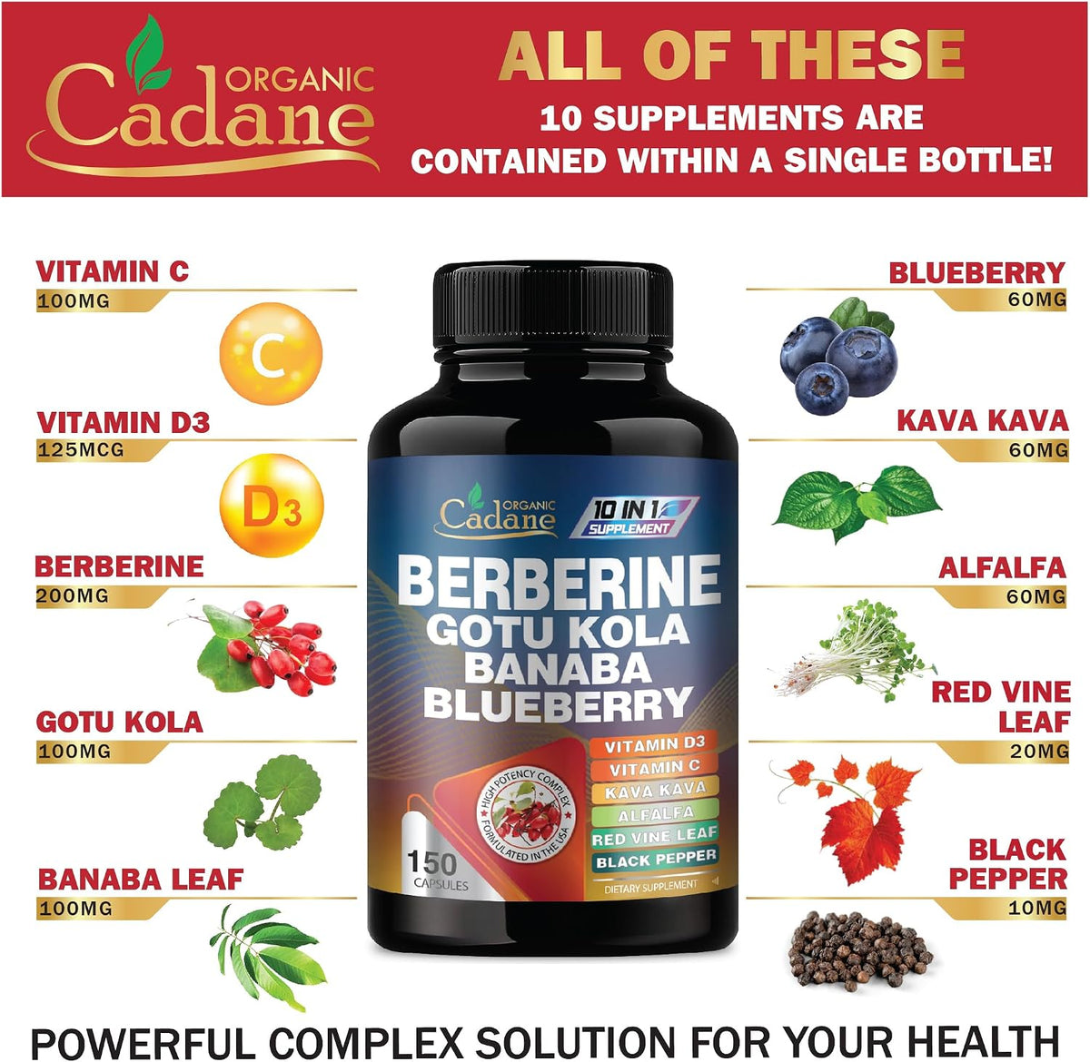 Cadane Premium Berberine Extract - 10-in-1 Supplement with Gotu Kola, Banaba Leaf, Vitamins D3 & C - 150 Vegetable Capsules for Immune and Digestive Support - görsel 3
