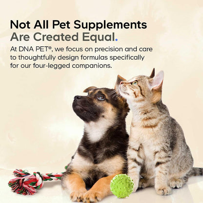 DNA PET Happy Immune Support Mushroom Powder for Dogs - 7 Organic Mushrooms, 99g