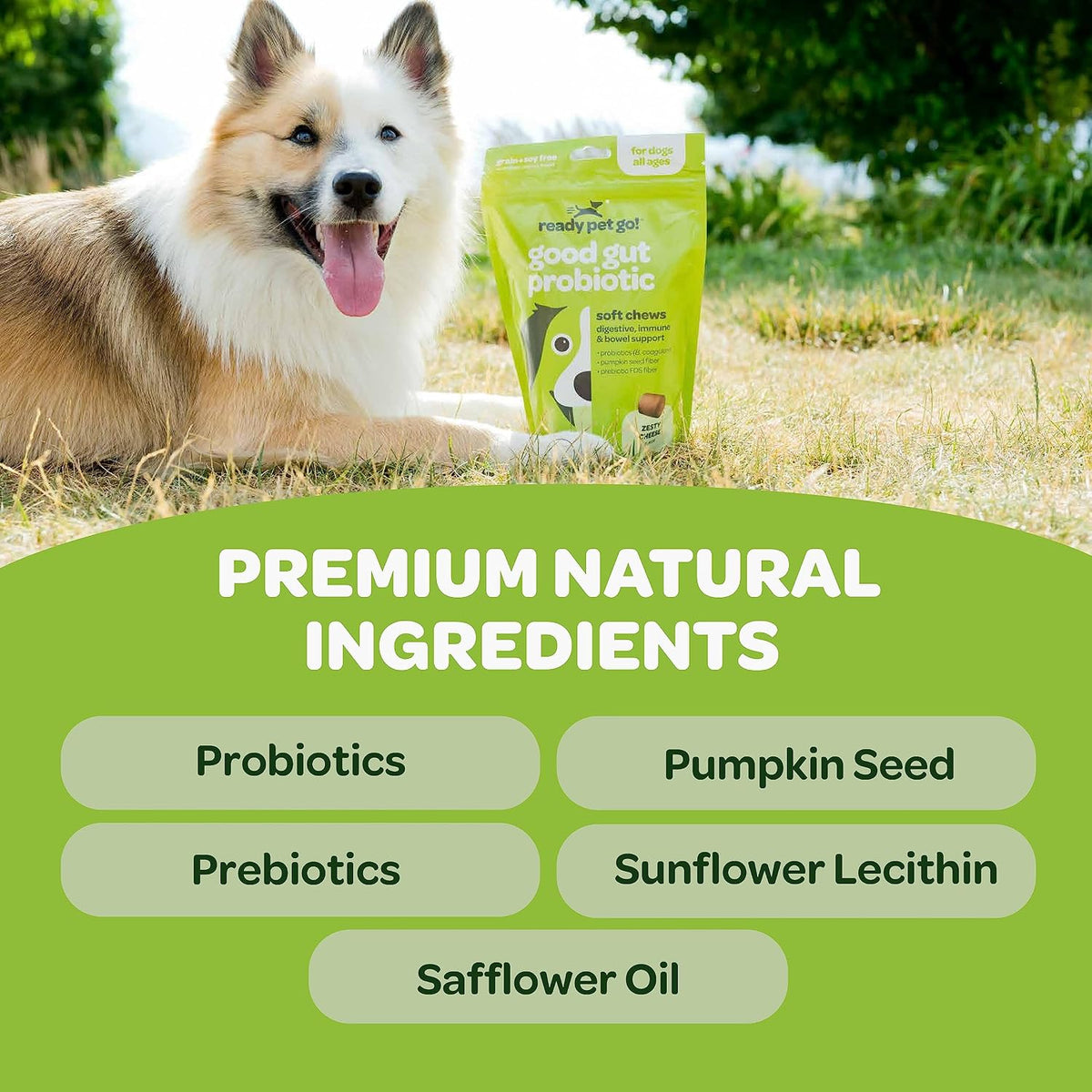 Ready Pet Go! Probiotic Chews for Dogs – Gut Health & Digestive Support with Pumpkin and Enzymes, 90 Count - görsel 2