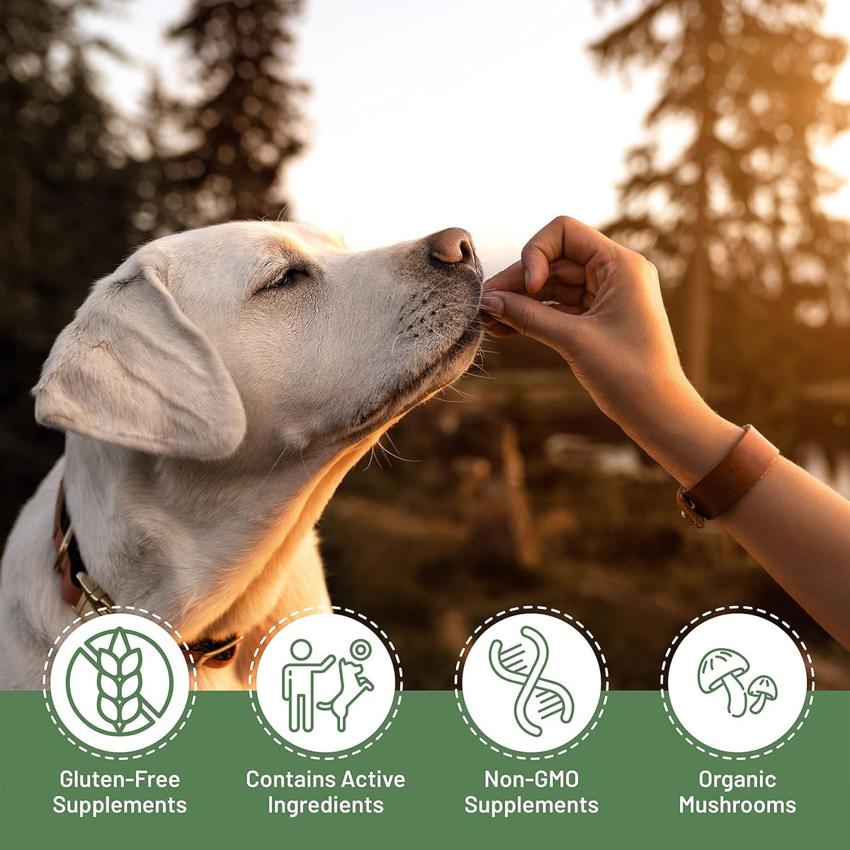 Aloha Medicinals K9 Immunity, Immune Support Supplement for Dogs, Organic Mushroom Blend, 90 Capsules - görsel 6