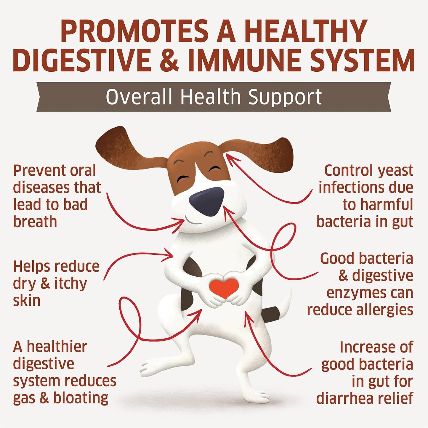 fur belly Probiotics for Dogs – Digestive, Allergy and Immune Support Chews (120 Chews) - görsel 3
