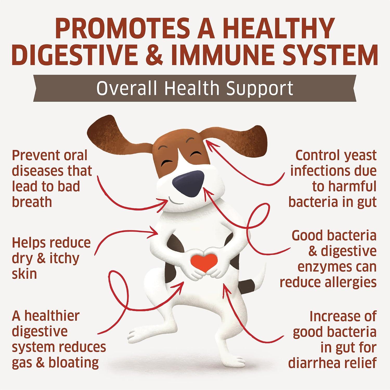 fur belly Probiotics for Dogs – Digestive, Allergy and Immune Support Chews (120 Chews) - görsel 3