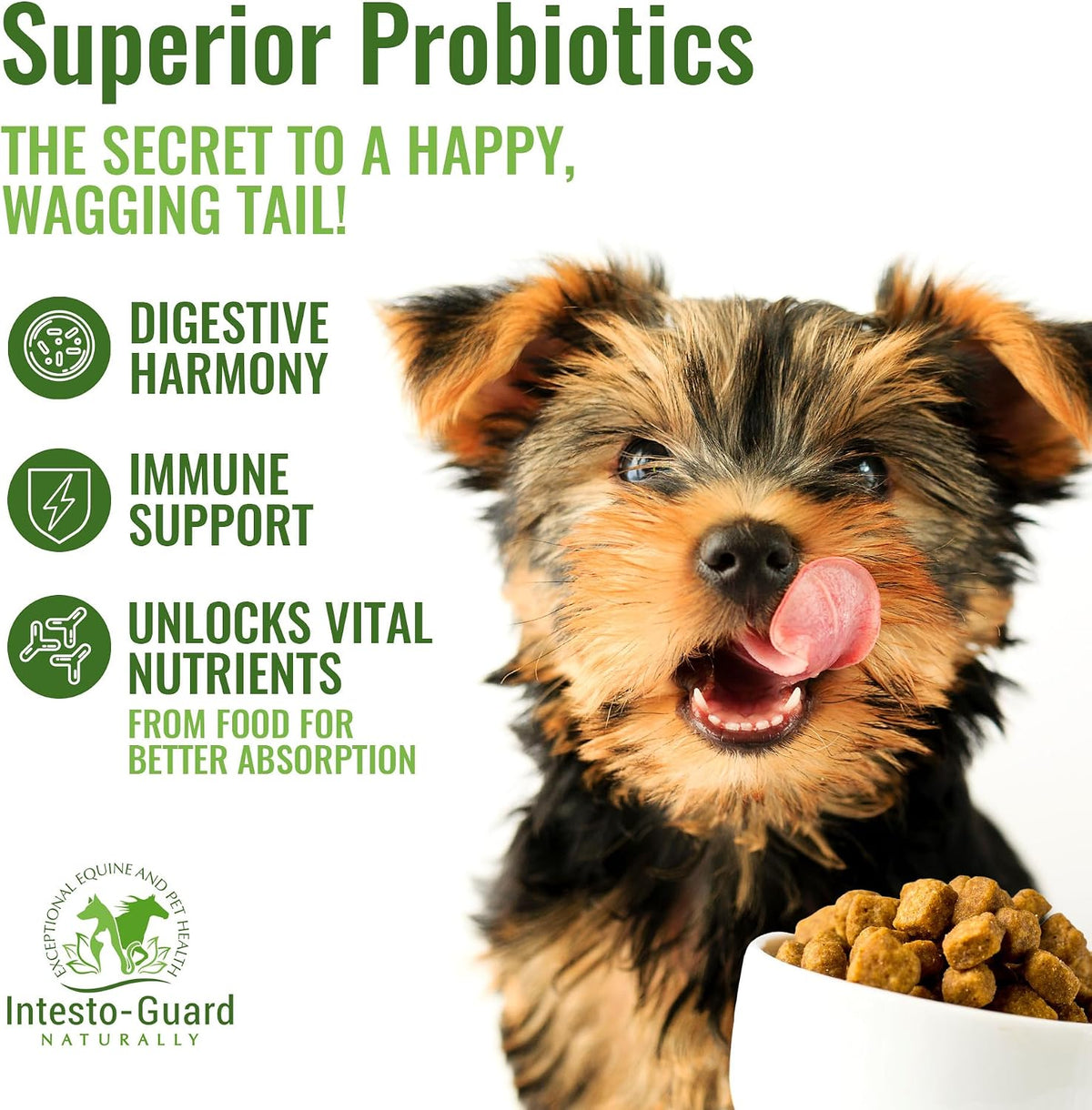 Probiotic Paste for Dogs – Prebiotic Gut Support & Immune Boost, All Natural, 60ml - görsel 4