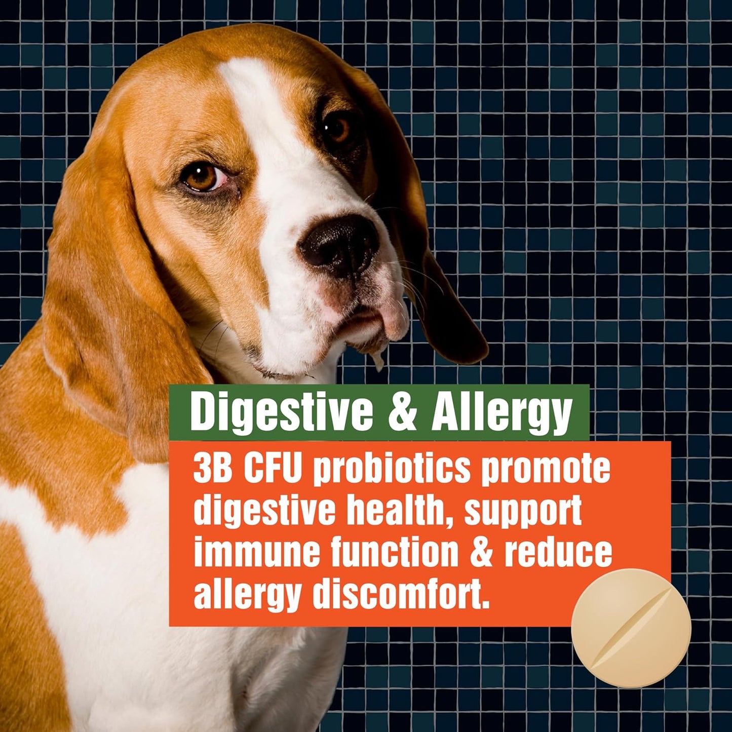 Army Soldier Owned Dog Probiotics for Yeast, Itchy Skin & Itchy Ears, Dog Allergy Support, Digestive Health, Occasional Diarrhoea & Immune Support, 3 Billion CFU, 60 Yummy Chewables - görsel 5
