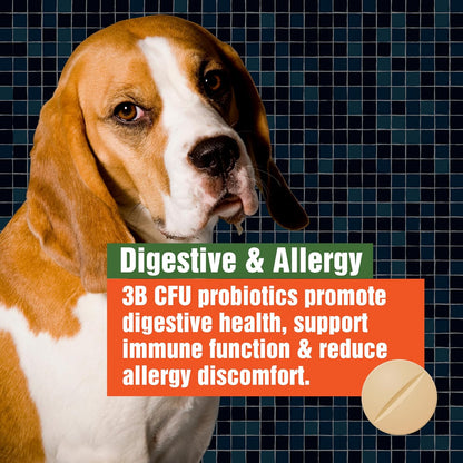 Army Soldier Owned Dog Probiotics for Yeast, Itchy Skin & Itchy Ears, Dog Allergy Support, Digestive Health, Occasional Diarrhoea & Immune Support, 3 Billion CFU, 60 Yummy Chewables