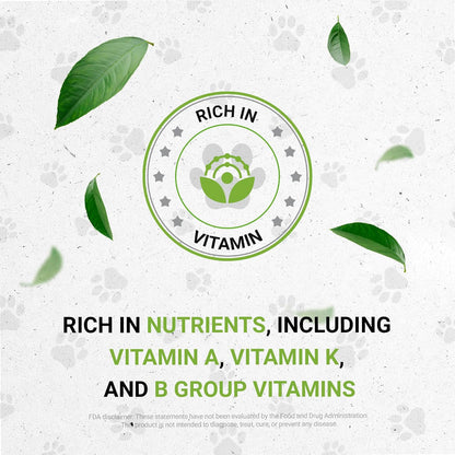 Wolf's Digestion – Natural Herbal Supplement for Dogs, Healthy Digestion Support, Alcohol-Free Extract, 60 ml