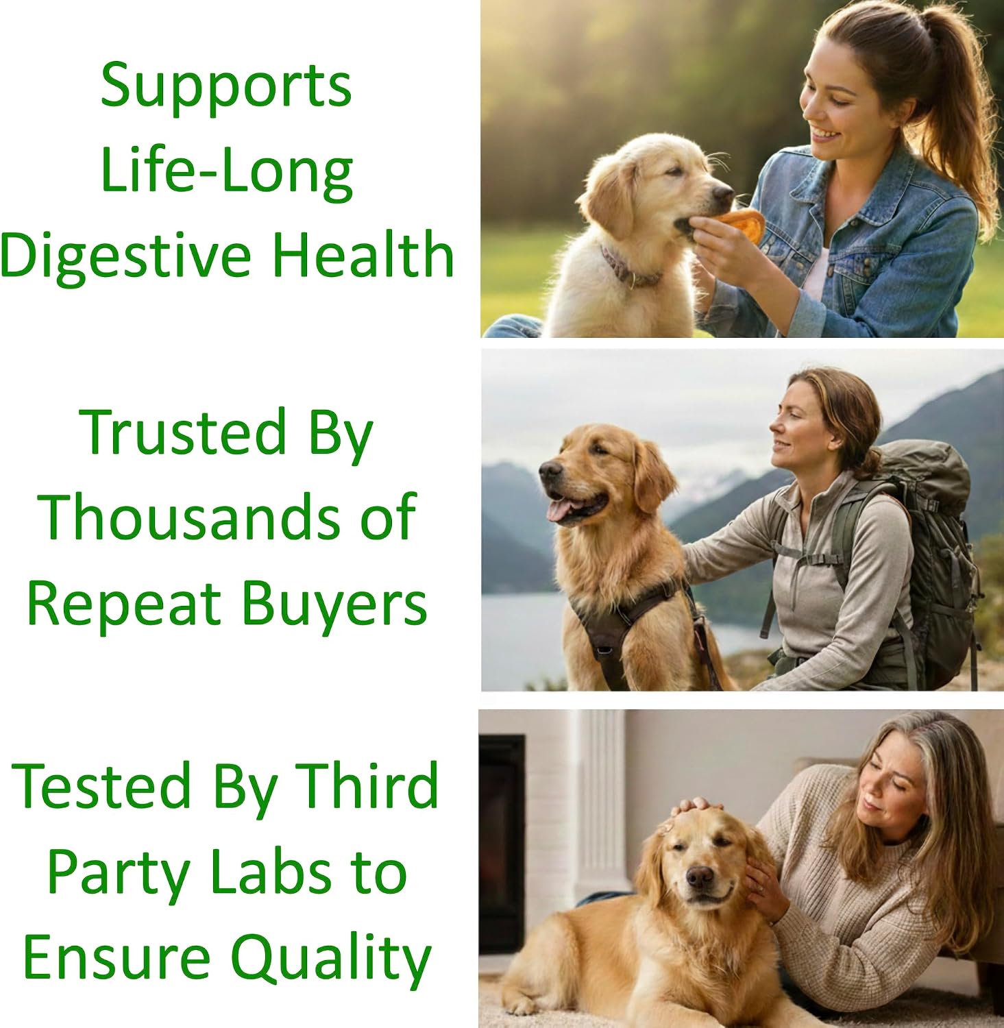 TummyWorks Probiotics for Dogs and Cats. 160 Scoops Probiotic Powder for Digestive Health, Gut, Immunity, Energy, Skin & Coat. 10 Strains, 5 Billion CFUs with 6 Enzymes & Prebiotics. Made in USA. - görsel 7