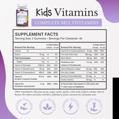 Salaam Nutritionals Children's Multivitamin Gummies - 13 Essential Vitamins & Minerals for Normal Growth and Development, 90 Count