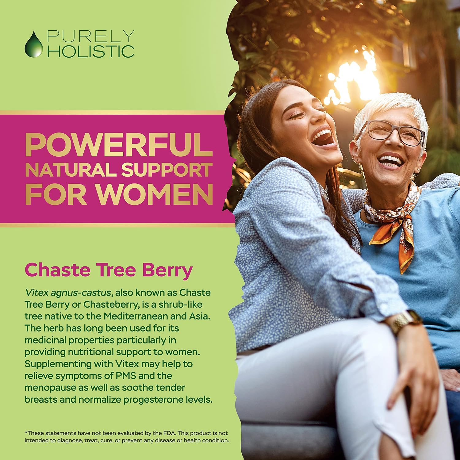 Purely Holistic Chasteberry Vitex Supplement 650mg - 4 Month Supply 120 Vegan Capsules Agnus-Castus Chaste Tree Berry Capsules Supports Normal Hormone Balance for Women - görsel 5