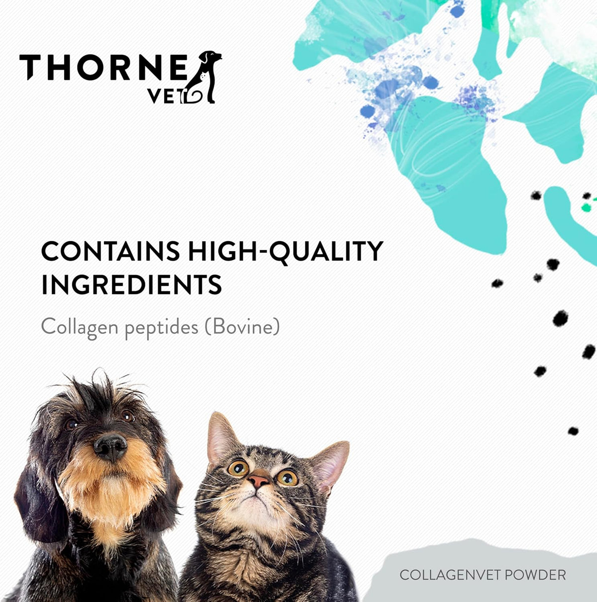 ThorneVet Collagen Supplement for Dogs and Cats – Powder (75 Scoops) - görsel 4