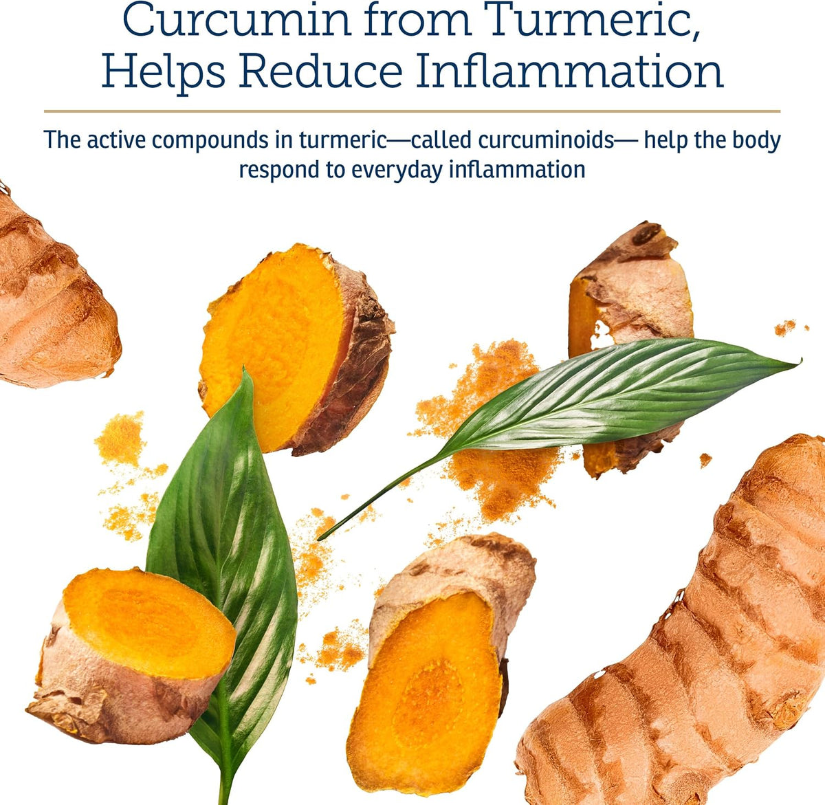 Rx Vitamins CurcuWIN - Curcumin for Dogs & Cats - Vitamins and Supplements, Allergy Relief - Provides Immune Support & Aids Digestive Support - Joint Supplement - 90ct - görsel 5